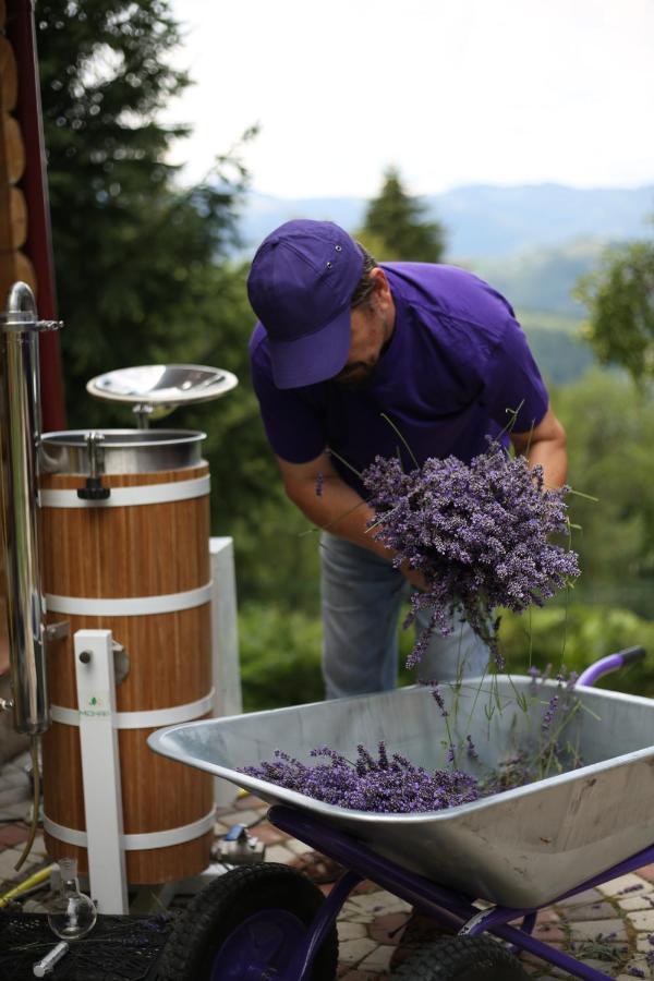 Lavender Valley Perekrestnoye Kültér fotó