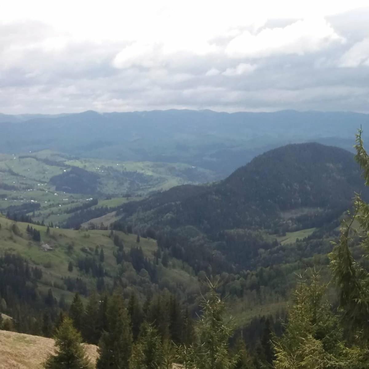 Lavender Valley Perekrestnoye Szoba fotó